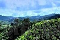 天下足球比分-探秘天下足球比分，绿茵场上的数字交响曲与球迷心跳的共鸣