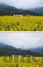 网页炸金花微信群-网页炸金花微信群，线上娱乐新选择